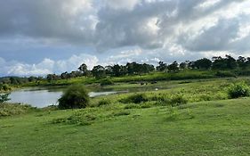 The Wild Fo'Rest Resorts